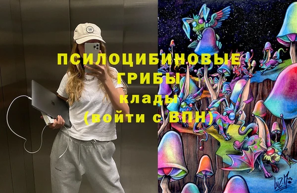 PSILOCYBIN Мегион