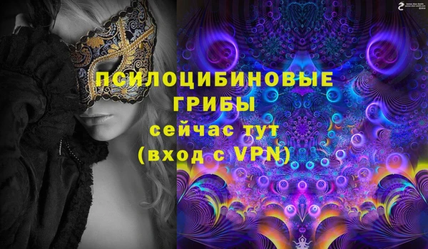 амф Медвежьегорск